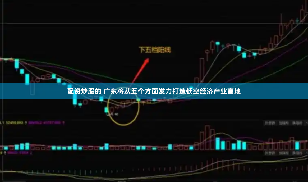 配資炒股的 廣東將從五個(gè)方面發(fā)力打造低空經(jīng)濟(jì)產(chǎn)業(yè)高地