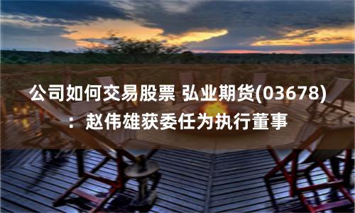 公司如何交易股票 弘業(yè)期貨(03678)：趙偉雄獲委任為執(zhí)行董事