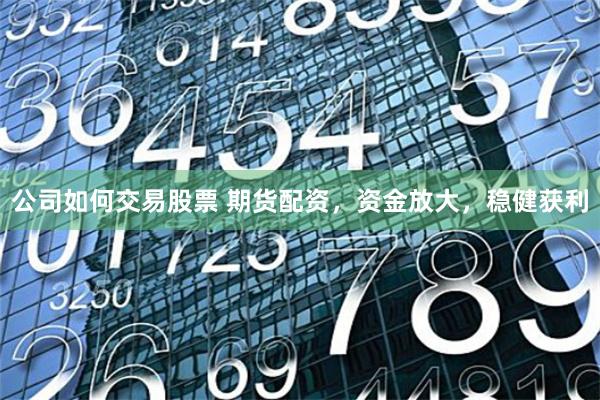 公司如何交易股票 期貨配資，資金放大，穩(wěn)健獲利